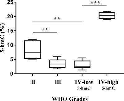 The Profiles of Tet-Mediated DNA Hydroxymethylation in Human Gliomas